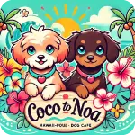 ドックカフェ coco to noa～ココとノア～